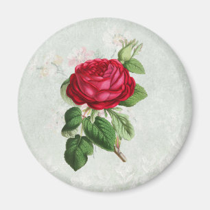 Vintage Rote Rose mit Foliage Magnet