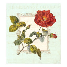 Vintage Rote Rose