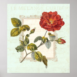 Vintage Rote Rose Poster