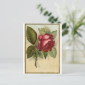 Vintage Rote Rose Postkarte (Stehend Vorderseite)