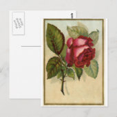 Vintage Rote Rose Postkarte (Vorne/Hinten)