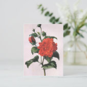 Vintage Rote Rose Postkarten (Stehend Vorderseite)
