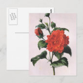 Vintage Rote Rose Postkarten (Vorne/Hinten)