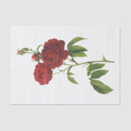 Vintage Rote Rosen #1 Blume Blumenzellenpapier Seidenpapier