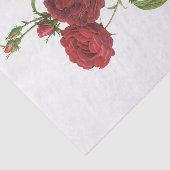 Vintage Rote Rosen #1 Blume Blumenzellenpapier Seidenpapier (Ausschnitt)