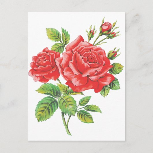 Vintage Rote Rosen Botanisch Postkarte (Vorderseite)