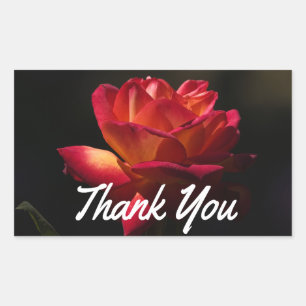Vintage-Rote-Rosen-Danke-Schwarze-Blumen-Aufkleber Rechteckiger Aufkleber