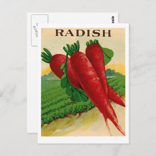 Vintage rote Samenpackung Postkarte (Vorne/Hinten)