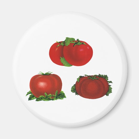 Vintage rote Tomaten Nahrungsmittel, Obst, Gemüse Magnet (Vorne)