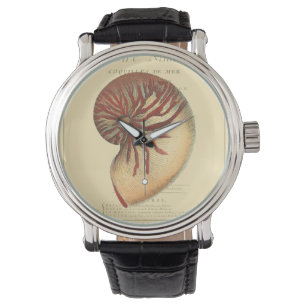 Vintage rote Tritonshorn-Muschel Armbanduhr