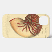 Vintage rote Tritonshorn-Muschel Case-Mate iPhone Hülle (Rückseite (Horizontal))