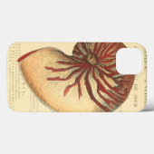 Vintage rote Tritonshorn-Muschel Case-Mate iPhone Hülle (Rückseite (Horizontal))