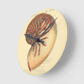 Vintage rote Tritonshorn-Muschel Runde Wanduhr (Winkel)