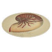 Vintage rote Tritonshorn-Muschel Schneidebrett (Ecke)