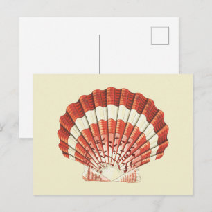 Vintage rote und weiße Kammmuschelnautik-Kunst Postkarte