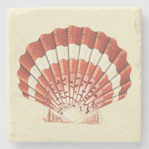 Vintage rote und weiße Kammmuschelnautik-Kunst Steinuntersetzer