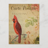 Vintage Roter Kardinalvogel Postkarte (Vorderseite)