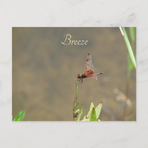 Vintage Roter Libelle Custom Botanische Notiz Postkarte