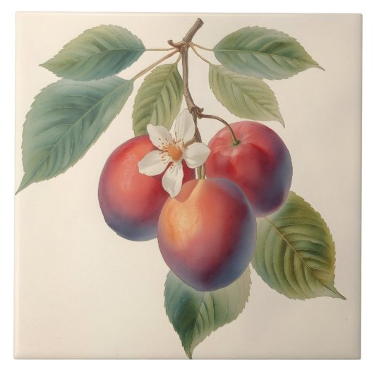 Vintage roter Pflaumenfruchtzweig mit Pflaumenblüt Fliese (Vorderseite)