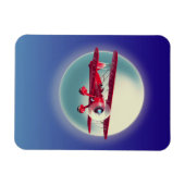 Vintage rotes Doppeldeckerflugzeug Magnet (Horizontal)