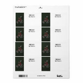 Vintage rotes Dreirad (Vorne)