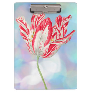 Vintage rotes Tulpen Klemmbrett