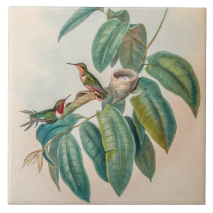 Vintage Rotschaft-Waldstern-Kolibris Fliese
