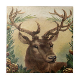 Vintage Rotwild-Dollar-Hirsch-Natur-rustikales Fliese