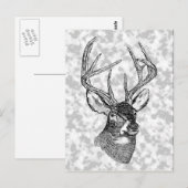 Vintage Rotwildkunstgraphik Postkarte (Vorne/Hinten)