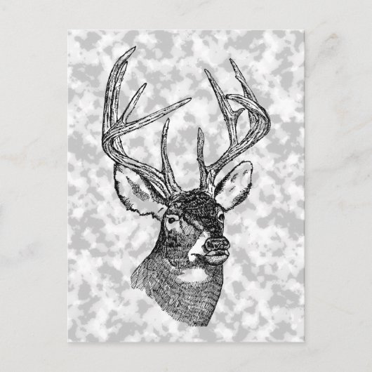 Vintage Rotwildkunstgraphik Postkarte (Vorderseite)