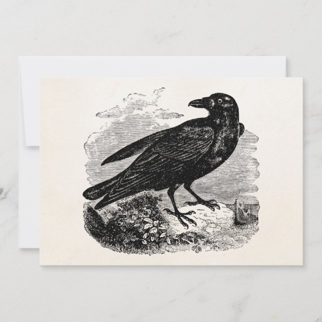 Vintage Roven Black Bird Crow Personalisierte Vöge (Vorderseite)