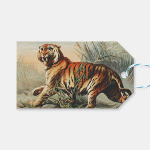 Vintage Royal Bengal Tiger Naturalisten-Kunstprint Geschenkanhänger