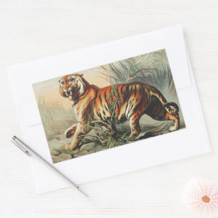 Vintage Royal Bengal Tiger Naturalisten-Kunstprint Rechteckiger Aufkleber
