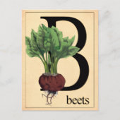 Vintage Rüben Postkarte (Vorderseite)
