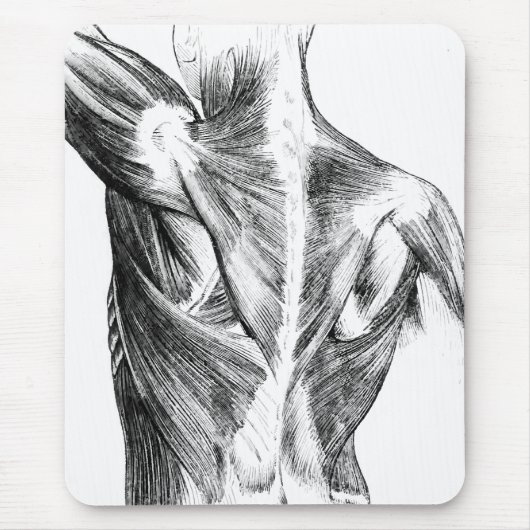 Vintage Rückenmuskel der Anatomie-| (circa 1852) | Mousepad (Vorne)