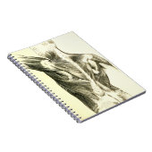 Vintage Rückenmuskel der Anatomie-| (circa 1852) Notizblock (Rechte Seite)