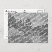 Vintage Rückseite der Postkarte - Extravagantes C- (Vorne/Hinten)