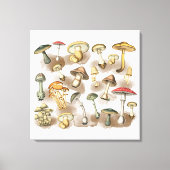 Vintage Rustic Forest Mushrooms Leinwanddruck (Vorderseite)