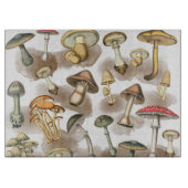 Vintage Rustic Forest Mushrooms Schneidebrett (Vorderseite)