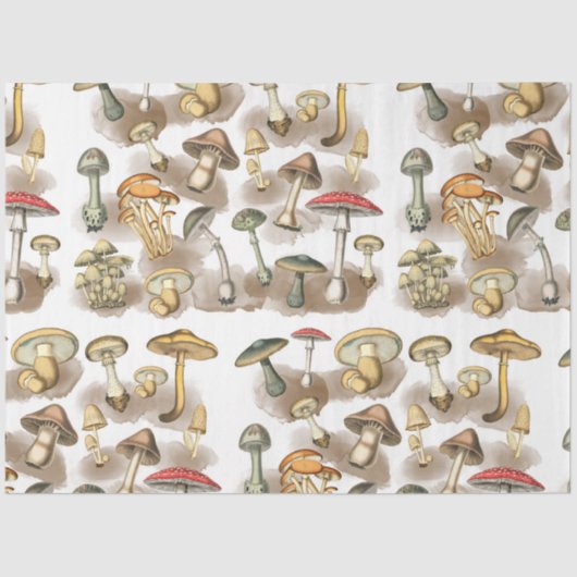 Vintage Rustic Forest Mushrooms Seidenpapier (Vorderseite)