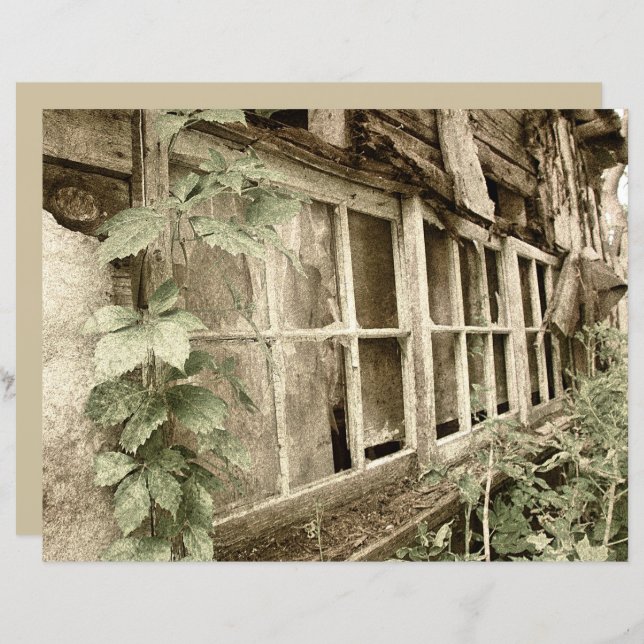 Vintage rustikale Altholzfenster (Vorne/Hinten)