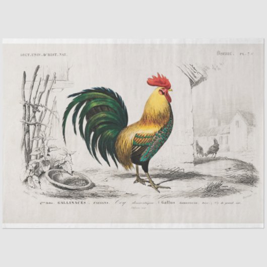 Vintage Rustikale Hühnerrooster-Dekoupage Seidenpapier (Vorderseite)