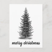 Vintage, rustikale Tannenweiden Postkarte (Vorderseite)