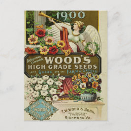 Vintage Saatgutanzeige Postkarte