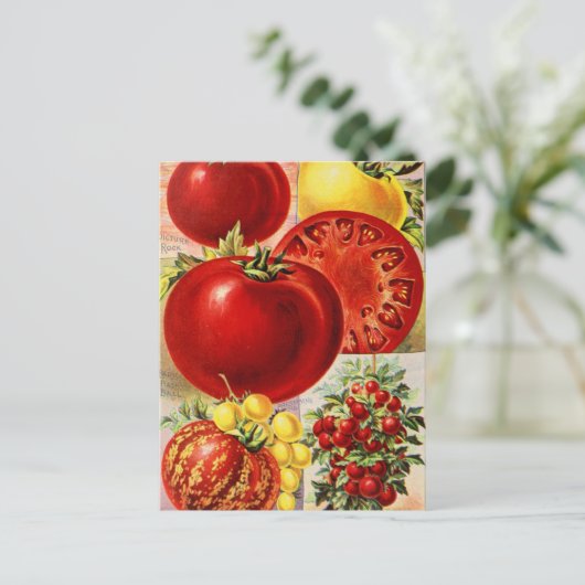 Vintage Saatgutanzeige Postkarte (Stehend Vorderseite)