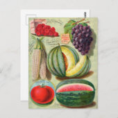 Vintage Saatgutanzeige Postkarte (Vorne/Hinten)