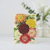 Vintage Saatgutanzeige Postkarte (Stehend Vorderseite)