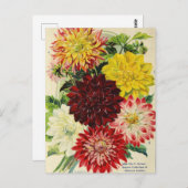 Vintage Saatgutanzeige Postkarte (Vorne/Hinten)