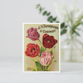 Vintage Saatgutanzeige Postkarte (Stehend Vorderseite)