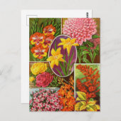 Vintage Saatgutanzeige Postkarte (Vorne/Hinten)